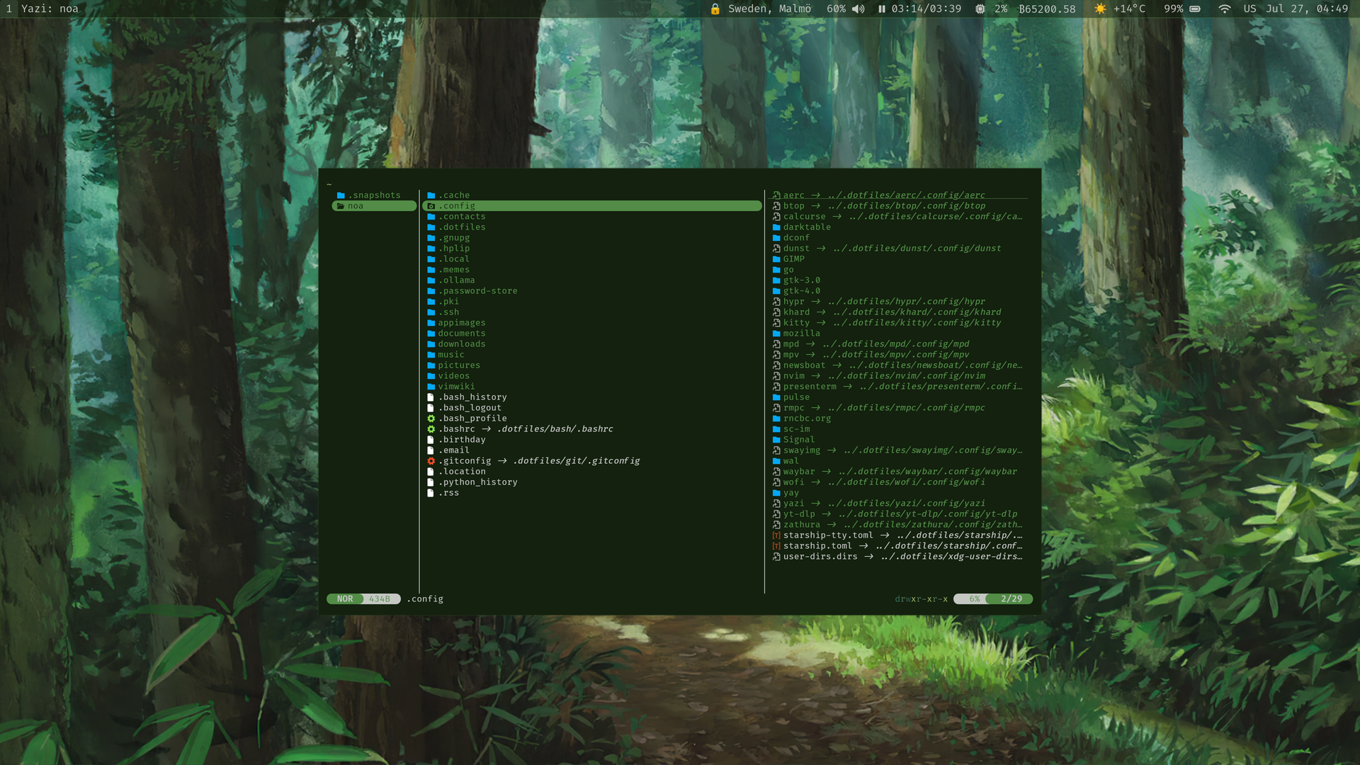 Screenshot of my Linux desktop