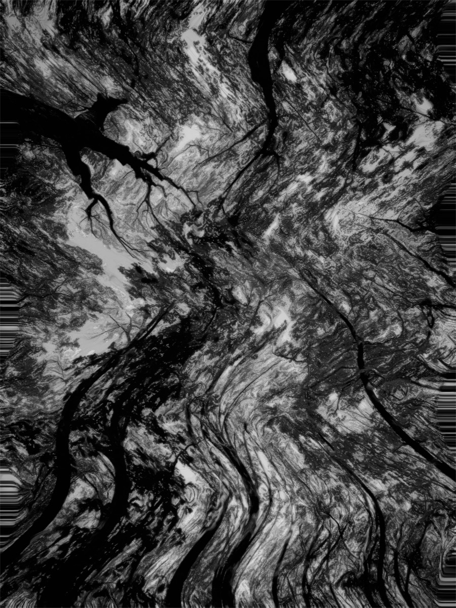 Untitled (2024) image